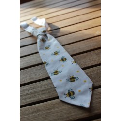 Boys Neckties Size 2-4 years