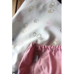 Baby Gown and matching Bloomers 6-12months