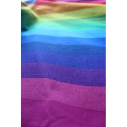 Vintage 1950's Poodle Dress  Size 6